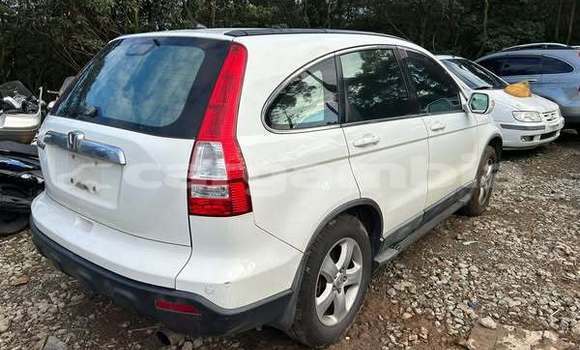 Buy Used Honda CR–V Other Car in Banjul in Banjul Buy Used Honda CR–V Other Car in Banjul in Banjul