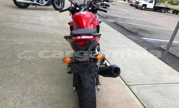 Acheter Occasion Moto Honda CBR Rouge à Bansang, Janjanbureh Acheter Occasion Moto Honda CBR Rouge à Bansang, Janjanbureh