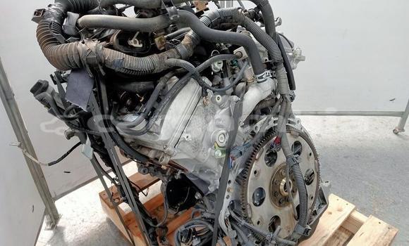 Buy TOYOTA PRADO ENGINE in Banjul in Banjul Buy TOYOTA PRADO ENGINE in Banjul in Banjul