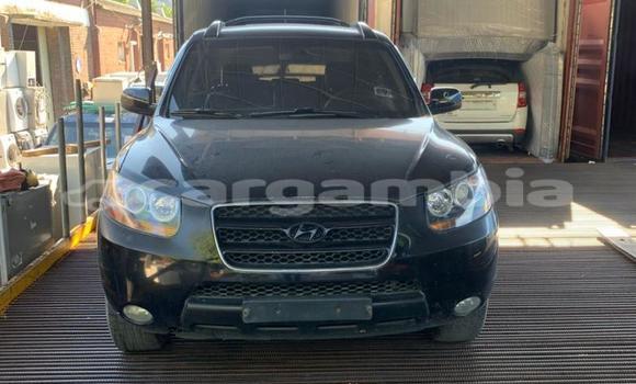 Buy Import Hyundai Santa Fe Black Car in Bakau in Kanifing