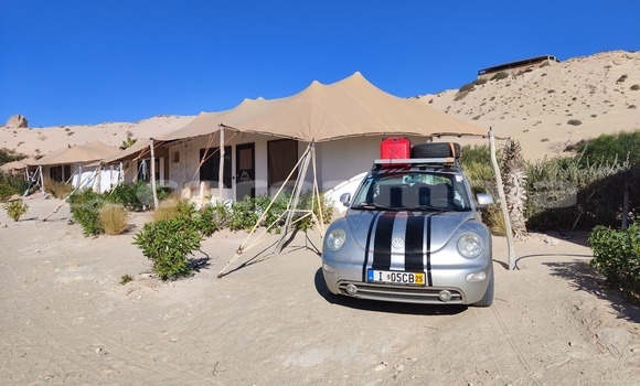 Buy Import Volkswagen Beetle Other Car in Serekunda in Kanifing