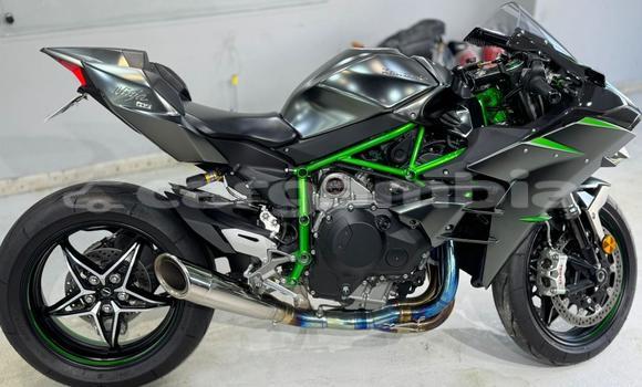اشتري مستعمل Kawasaki Ninja Black دراجة نارية في Banjul في Banjul اشتري مستعمل Kawasaki Ninja Black دراجة نارية في Banjul في Banjul