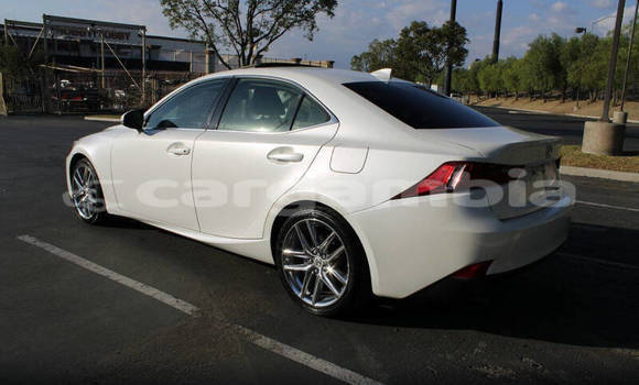 Buy Used Lexus IS White Car in Banjul in Banjul Buy Used Lexus IS White Car in Banjul in Banjul