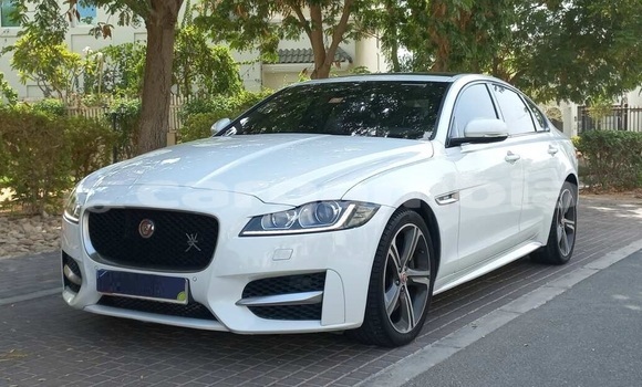 Buy Used Jaguar XF White Car in Banjul in Banjul Buy Used Jaguar XF White Car in Banjul in Banjul