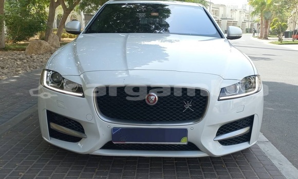 Buy Used Jaguar XF White Car in Banjul in Banjul Buy Used Jaguar XF White Car in Banjul in Banjul