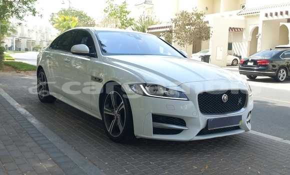 Buy Used Jaguar XF White Car in Banjul in Banjul Buy Used Jaguar XF White Car in Banjul in Banjul