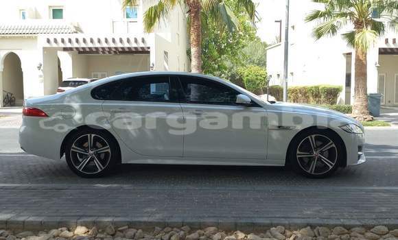 Buy Used Jaguar XF White Car in Banjul in Banjul Buy Used Jaguar XF White Car in Banjul in Banjul