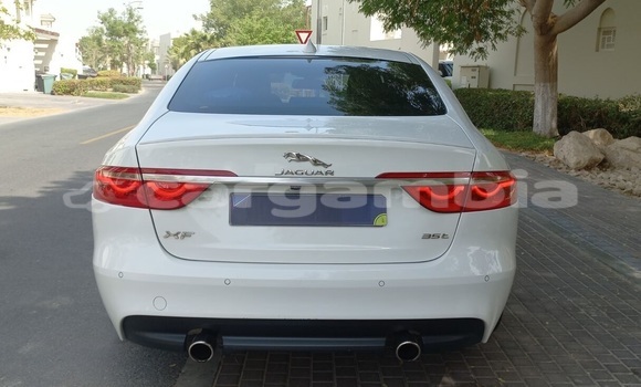 Buy Used Jaguar XF White Car in Banjul in Banjul Buy Used Jaguar XF White Car in Banjul in Banjul