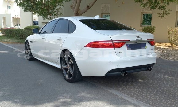 Buy Used Jaguar XF White Car in Banjul in Banjul Buy Used Jaguar XF White Car in Banjul in Banjul