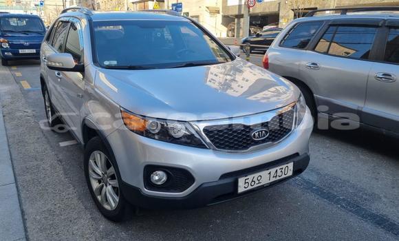 Buy Import Kia Sorento Silver Car in Bakau in Kanifing