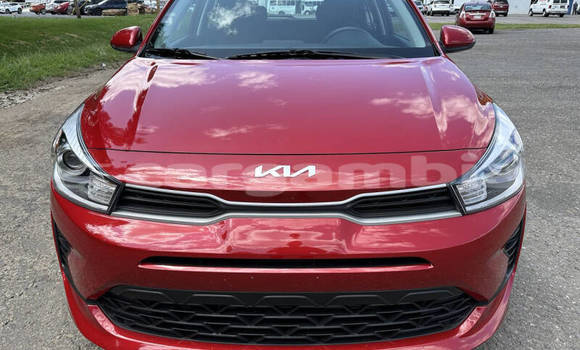 Buy Used Kia Rio Red Car in Banjul in Banjul Buy Used Kia Rio Red Car in Banjul in Banjul