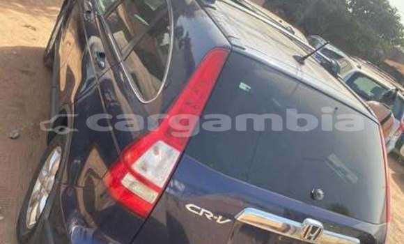Buy Used Honda CR-V Other Car in Banjul in Banjul Buy Used Honda CR-V Other Car in Banjul in Banjul