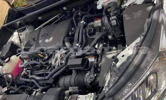 اشتري مستعمل Hyundai Creta White سيارة في Banjul في Banjul اشتري مستعمل Hyundai Creta White سيارة في Banjul في Banjul