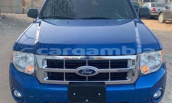 Buy Used Ford Escape Blue Car in Banjul in Banjul