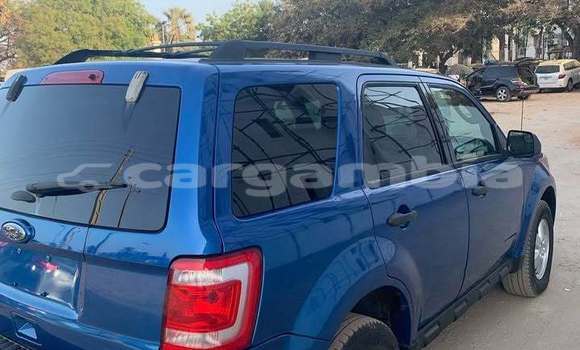 اشتري مستعمل Ford Escape Blue سيارة في Banjul في Banjul اشتري مستعمل Ford Escape Blue سيارة في Banjul في Banjul