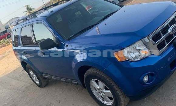 اشتري مستعمل Ford Escape Blue سيارة في Banjul في Banjul اشتري مستعمل Ford Escape Blue سيارة في Banjul في Banjul