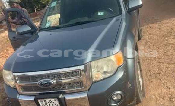 اشتري مستعمل Ford Escape Other سيارة في Banjul في Banjul اشتري مستعمل Ford Escape Other سيارة في Banjul في Banjul