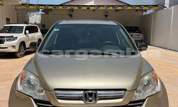 Dieundeu Occasion Honda CR-V Other Auto in Banjul in Banjul Dieundeu Occasion Honda CR-V Other Auto in Banjul in Banjul