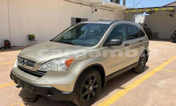 Dieundeu Occasion Honda CR-V Other Auto in Banjul in Banjul Dieundeu Occasion Honda CR-V Other Auto in Banjul in Banjul