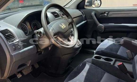 Dieundeu Occasion Honda CR-V Other Auto in Banjul in Banjul Dieundeu Occasion Honda CR-V Other Auto in Banjul in Banjul