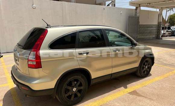 Dieundeu Occasion Honda CR-V Other Auto in Banjul in Banjul Dieundeu Occasion Honda CR-V Other Auto in Banjul in Banjul