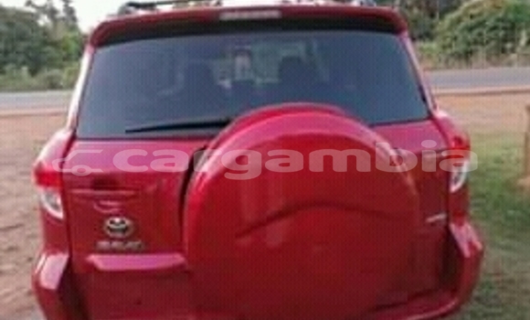 Buy Import Toyota RAV4 Red Car in Sukuta in Brikama Buy Import Toyota RAV4 Red Car in Sukuta in Brikama