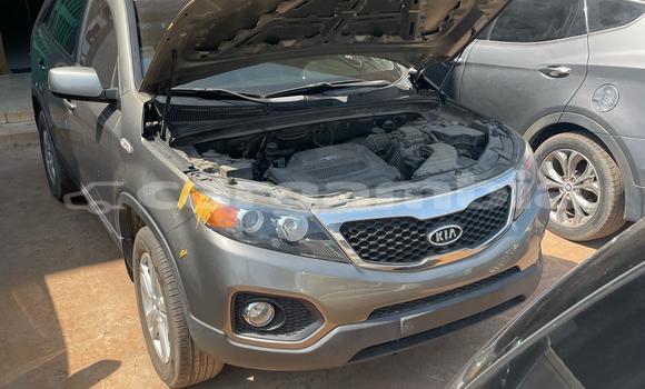 Buy New Kia Sorento Silver Car in Serekunda in Kanifing Buy New Kia Sorento Silver Car in Serekunda in Kanifing