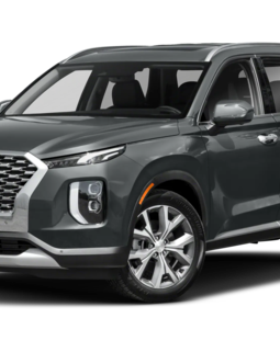Thumb hyundai pal